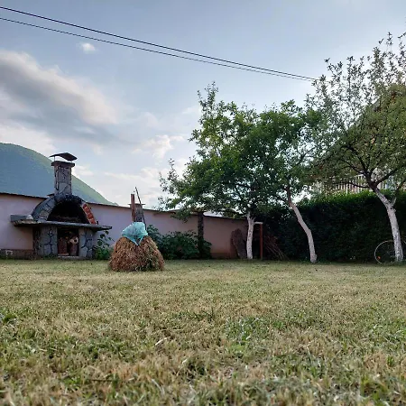 Mirza Villa *